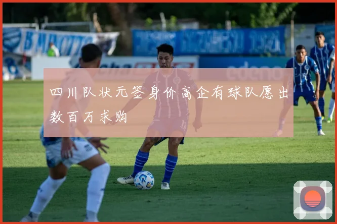 四川队状元签身价高企有球队愿出数百万求购