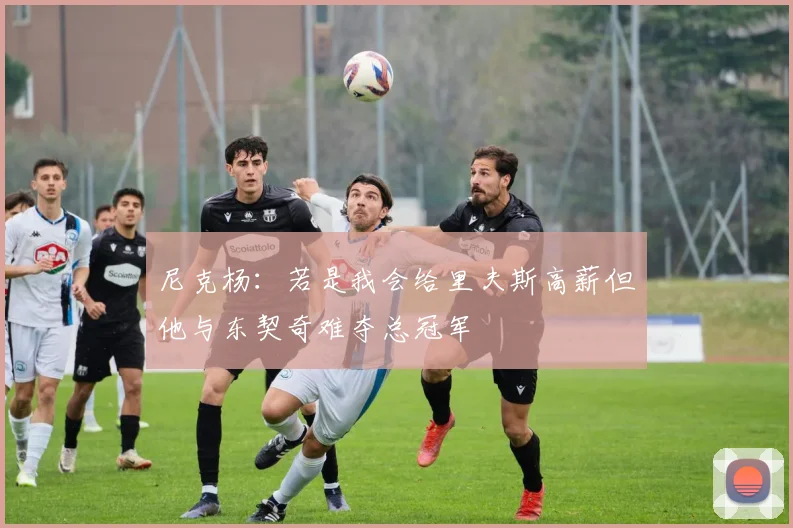 尼克杨：若是我会给里夫斯高薪但他与东契奇难夺总冠军
