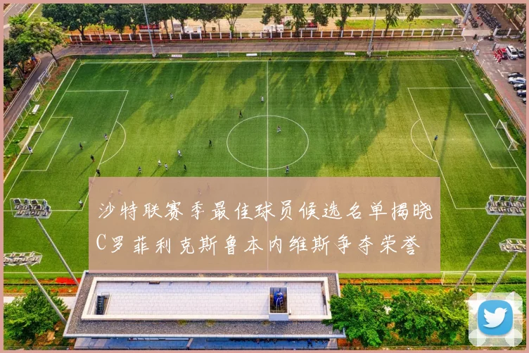沙特联赛季最佳球员候选名单揭晓C罗菲利克斯鲁本内维斯争夺荣誉